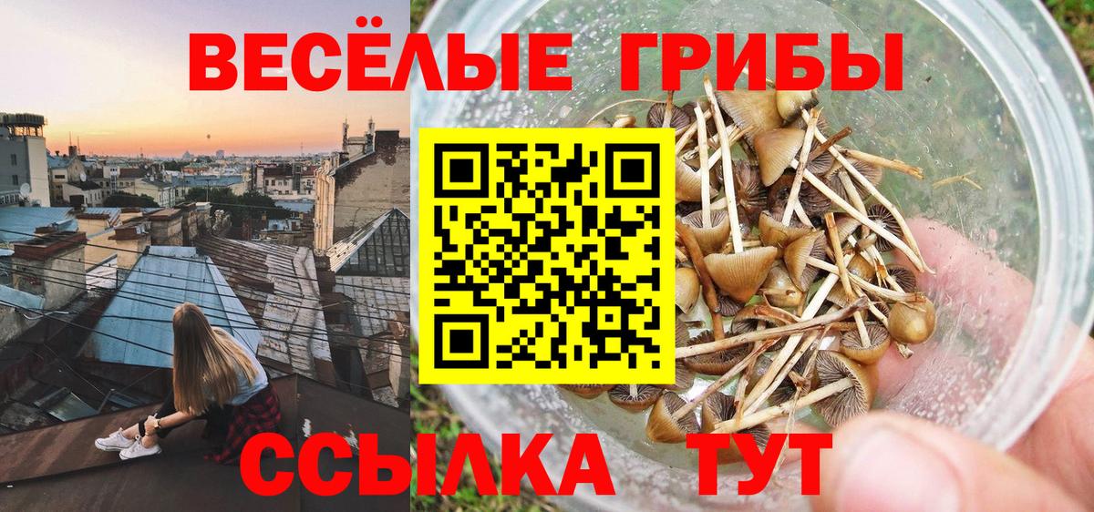Галлюциногенные грибы GOLDEN TEACHER  Вход с VPN  Переславль-Залесский 